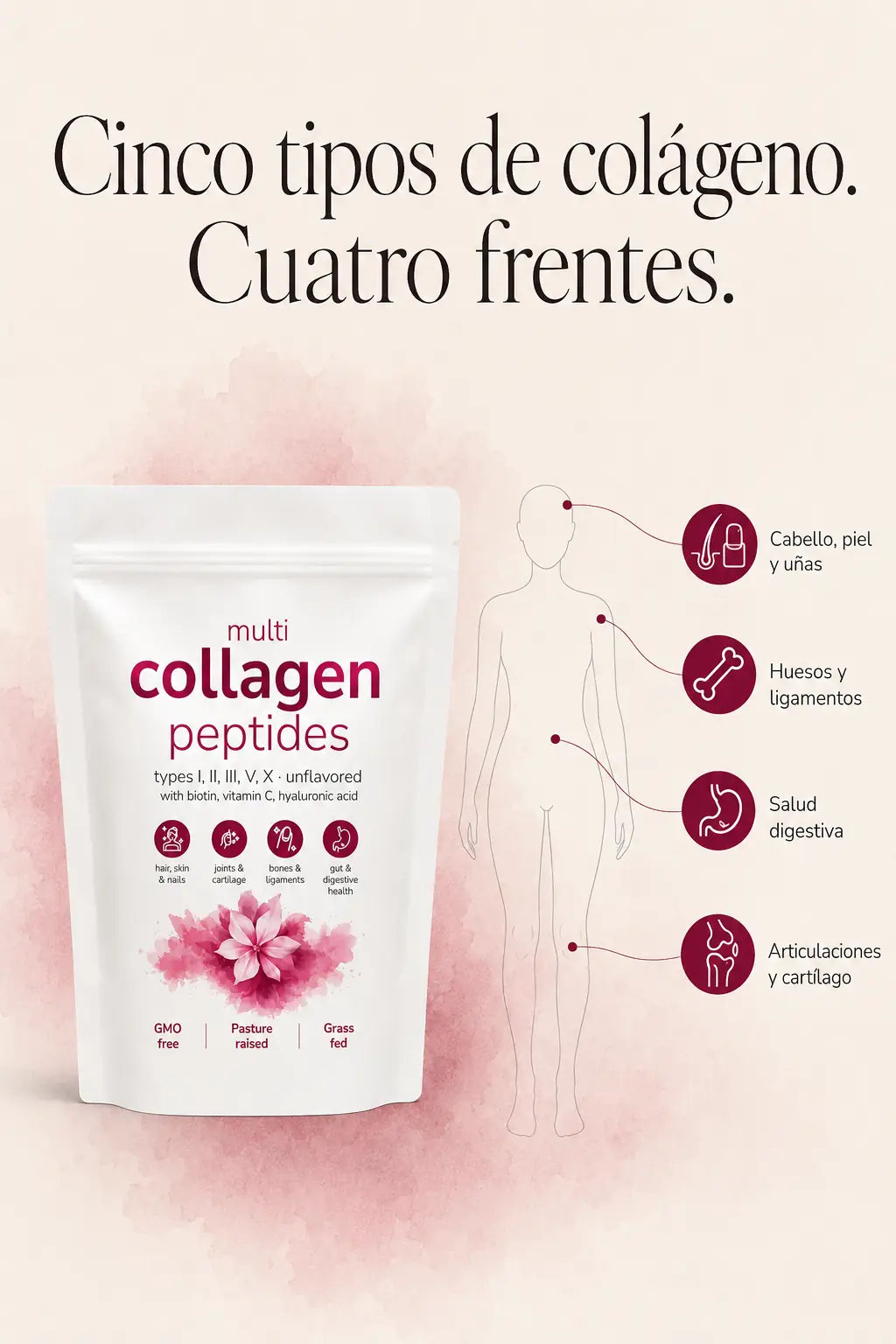 Los beneficios del Multicollagen Peptides