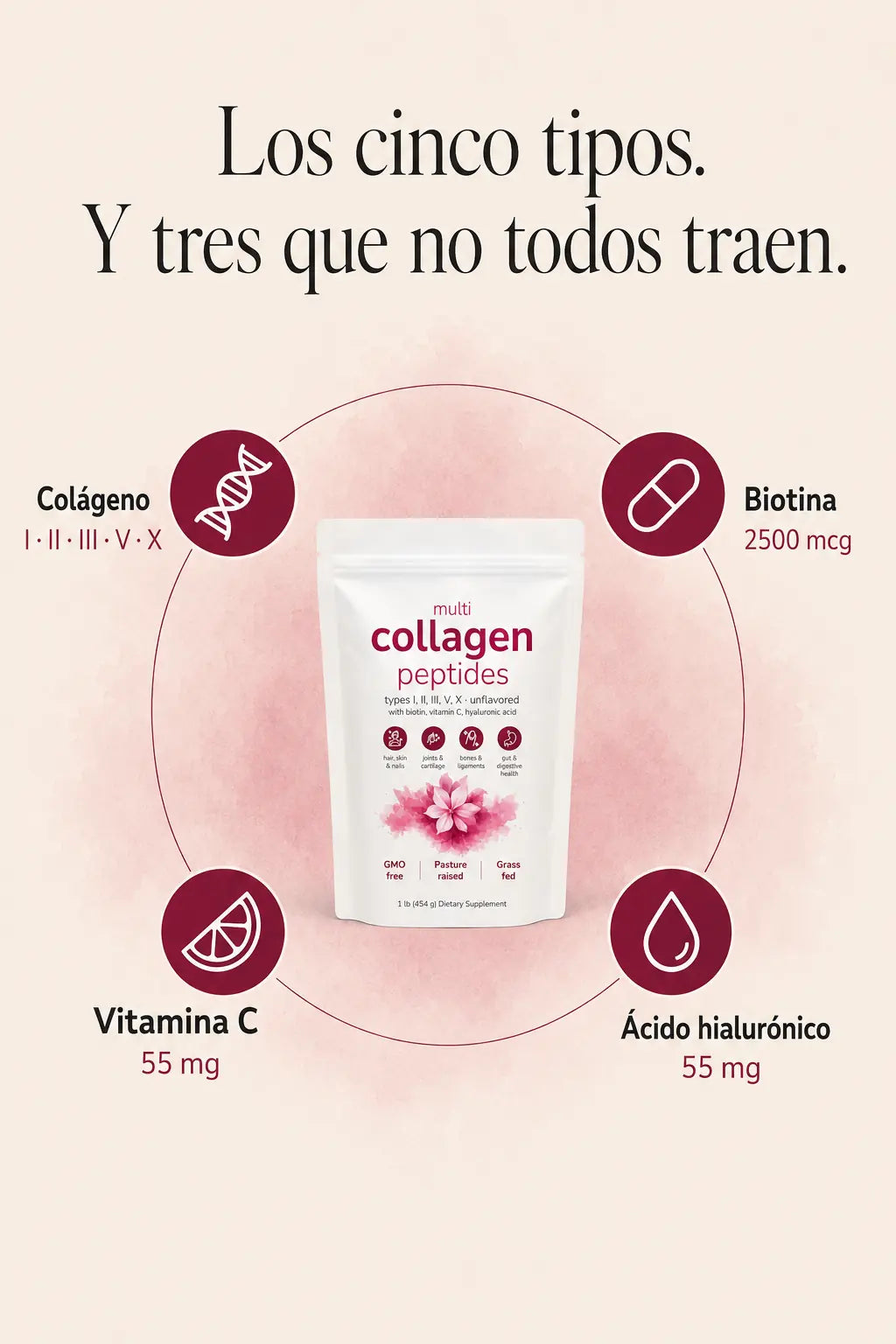 Los ingredientes del Multicollagen Peptides