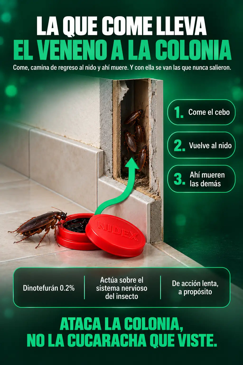 La que come el cebo lo lleva al nido y ahí mueren las demás
