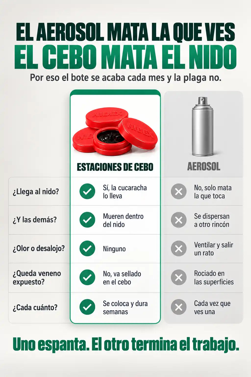Comparativa: el aerosol mata la que ves, el cebo mata el nido